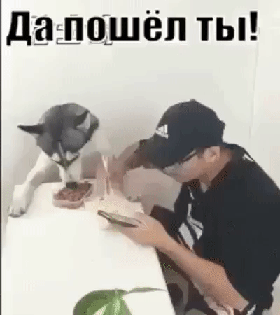 дащоиёп ты