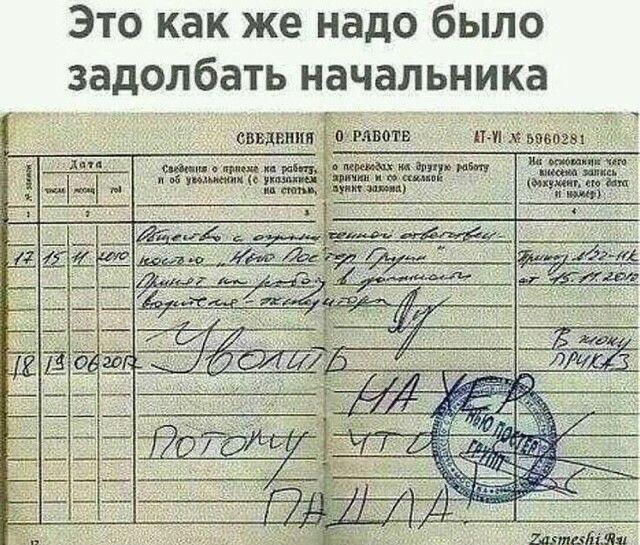 Это как же надо было задолбать начальника