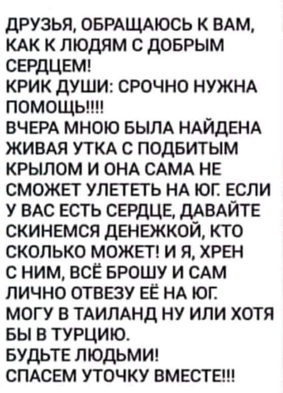 друзья ОБРАЩАЮСЬ К ВАМ КАК К людям с доврым СЕРДЦЕМ КРИК дУШИ срочно НУЖНА ПОМОЩЬ ВЧЕРА мною БЫЛА НАЙДЕНА ЖИВАЯ УТКА с подвитым крылом и ОНА САМА не сможет улететь НА юг если У ВАС есть сердце ДАВАЙТЕ скинемся дЕНЕЖКОЙ кто сколько МОЖЕТ и я хрен с ним все БРОШУ и САМ лично отвезу ее НА юг могу в ТАИЛАНД ну или хотя вы в турцию Будьте ЛЮДЬМИ СПАСЕМ уточку ВМЕСТЕ