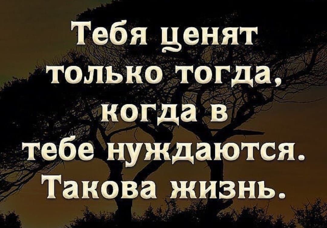 Тебя ценят только тогда когда в тебе нуждаются Такова жизнь