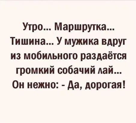 Утро Маршрутка Тишина У мужика вдруг из мобильного раздаётся громкий собачий дай Он нежно Аа дорогая