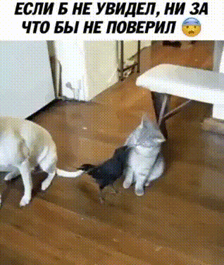 ЕСЛИ 5 НЕ УВИДЕП НИ_3А что вы и ПОВЕРИЛ