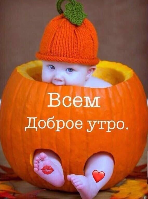 В Доброе утро