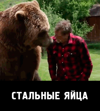СТАЛЬНЫЕ ЯЙЦА