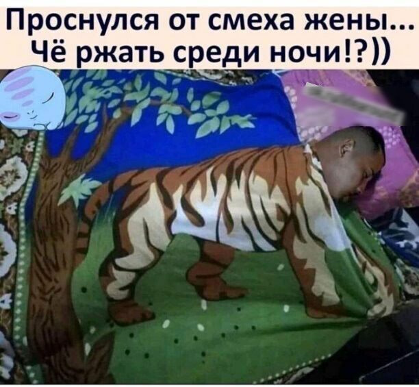 Проснулся от смеха жены Чё ржатьсреди ночи ч 4 вуд 111