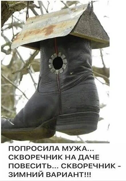 __ ПОПРОСИПА МУЖА СКВОРЕЧНИК НА ДАЧЕ ПОВЕСИТЬ СКВОРЕЧНИК ЗИМНИЙ ВАРИАНТ
