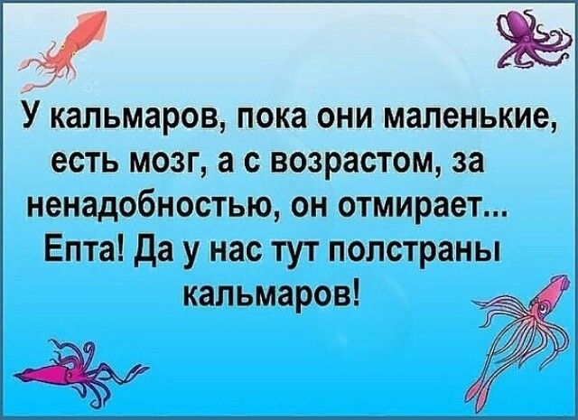 же У кальмаров пока они маленькие есть мозг а с возрастом за ненадобностью он отмирает Епта да у нас тут полстраны кальмаров