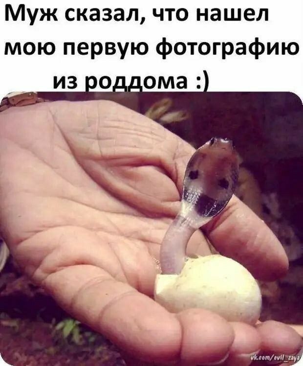Муж сказал что нашел мою первую фотографию