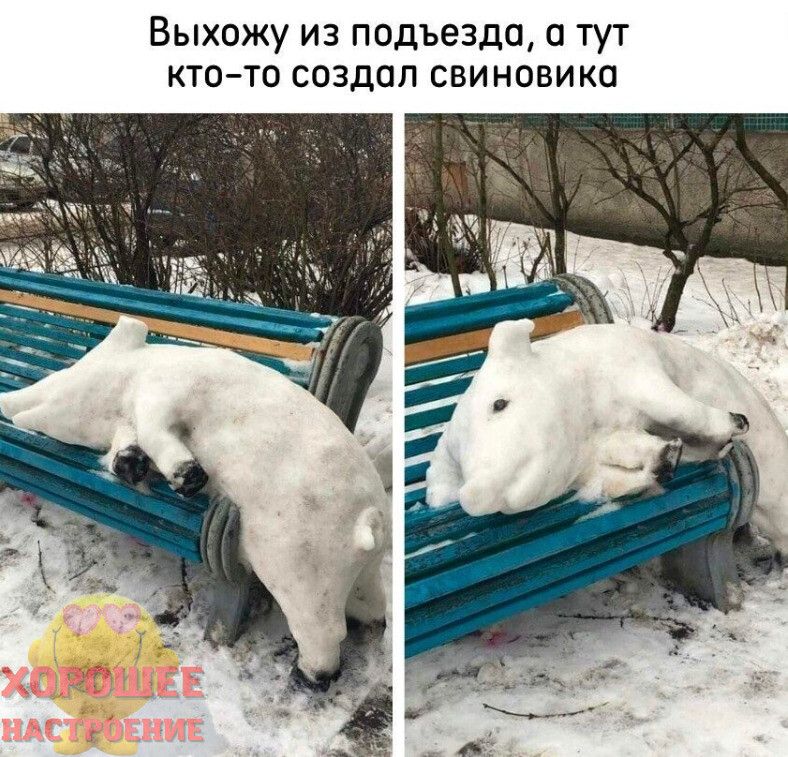 ВЫХПЖУ ИЗ ПОДЪЕЗДП П ТУТ КТОТО СОЗДОП СВИНОВИКО