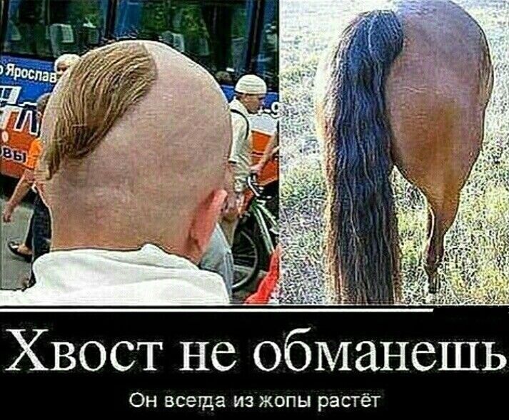 Хвост не обманешь Он всегда из жопы растёт