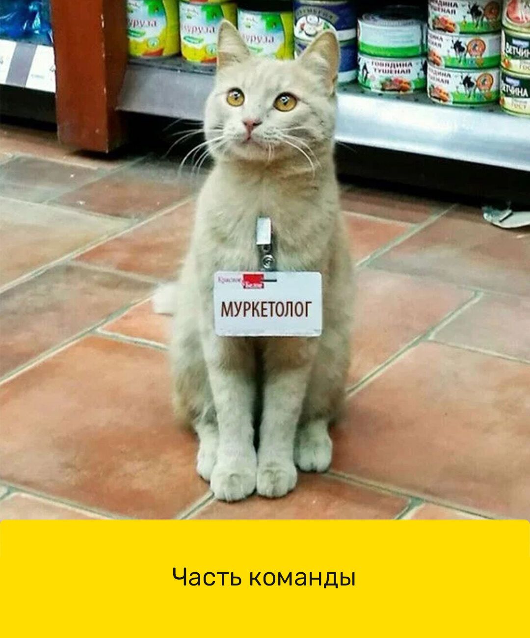 Часть команды