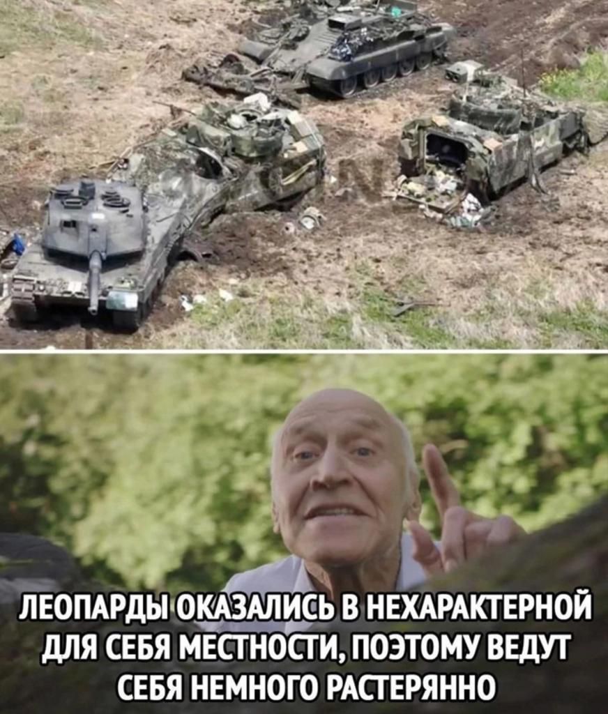 ЙАЕОПАРДЫОКАЗАЛИЕЬ В НЕХАРАКТЕРНОЙ дЛЯ СЕБЯ МЕСТНОСТИ ПОЭТОМУ ВЕДУТ СЕБЯ НЕМНОГО РАПЕРЯННО