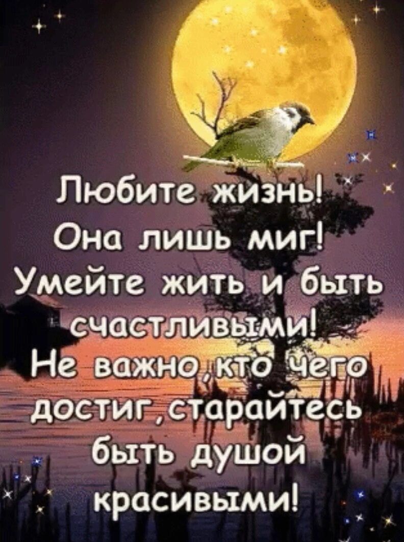 Любите живнь Она лишь миг Умейте жить и быть часта Ёымщдёж Не важнее 139 325 достиг староитерь быть душой красивыми _ _