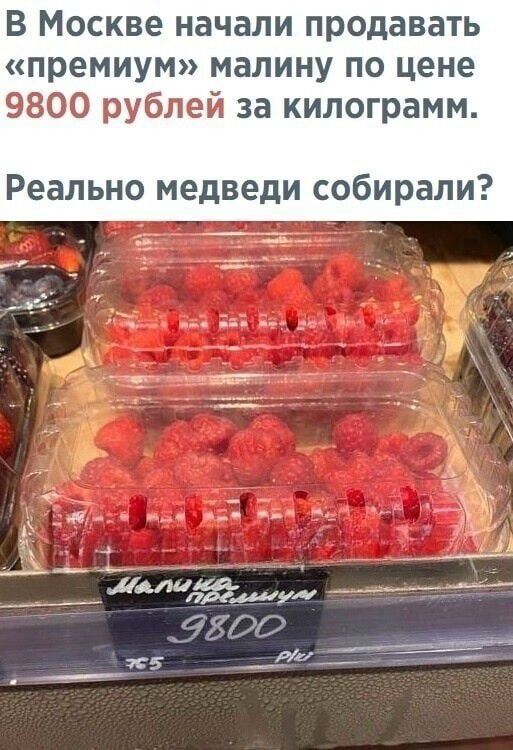 В Москве начали продавать премиум малину по цене 9800 рублей за килограмм Реально медведи собирали