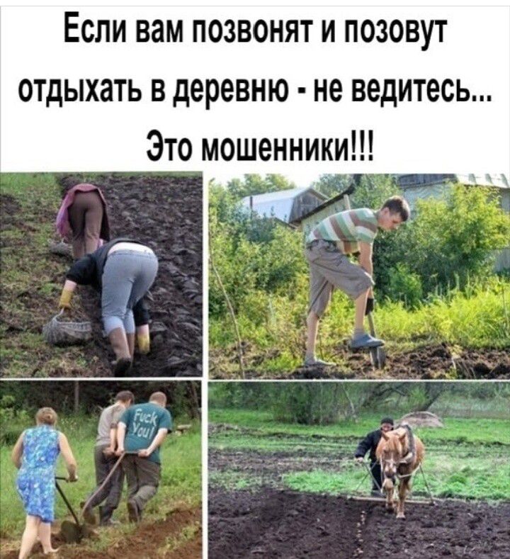Если вам позвонят и позовут отдыхать в деревню не ведитесь Это мошенники