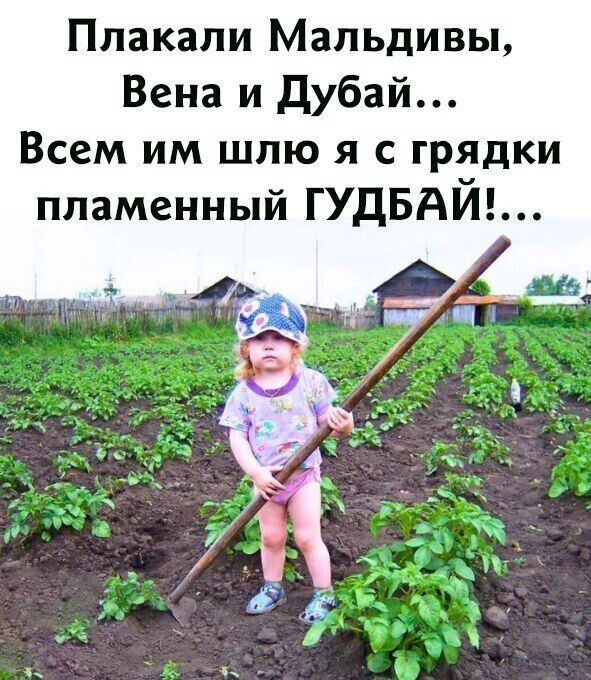 Плакали Мальдивы Вена и дубай Всем им шлю я с грядки пламенный ГУДБАЙ
