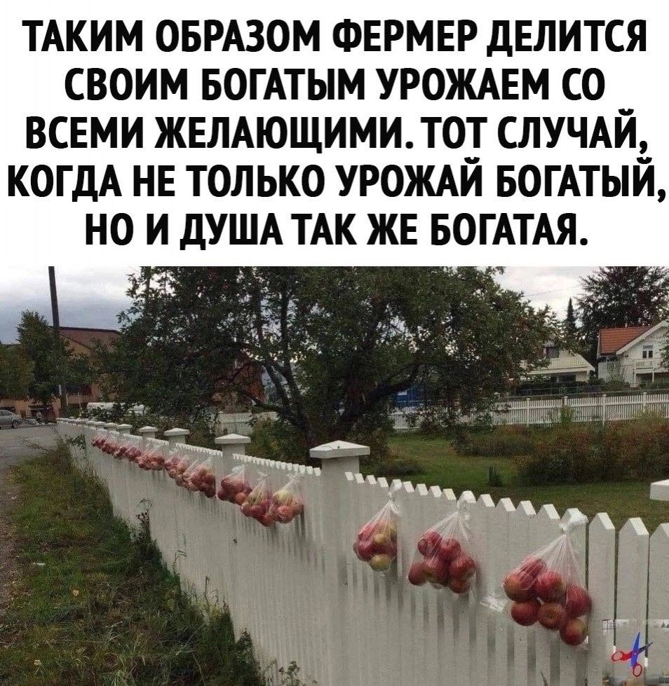 ТАКИМ ОБРАЗОМ ФЕРМЕР делится своим вогАтым УРОЖАЕМ со ВСЕМИ жвлтщими то случдйд КОГДА НЕ только УРОЖАИ БогАтыи но и дУША ТАК жн БОГАТАЯ