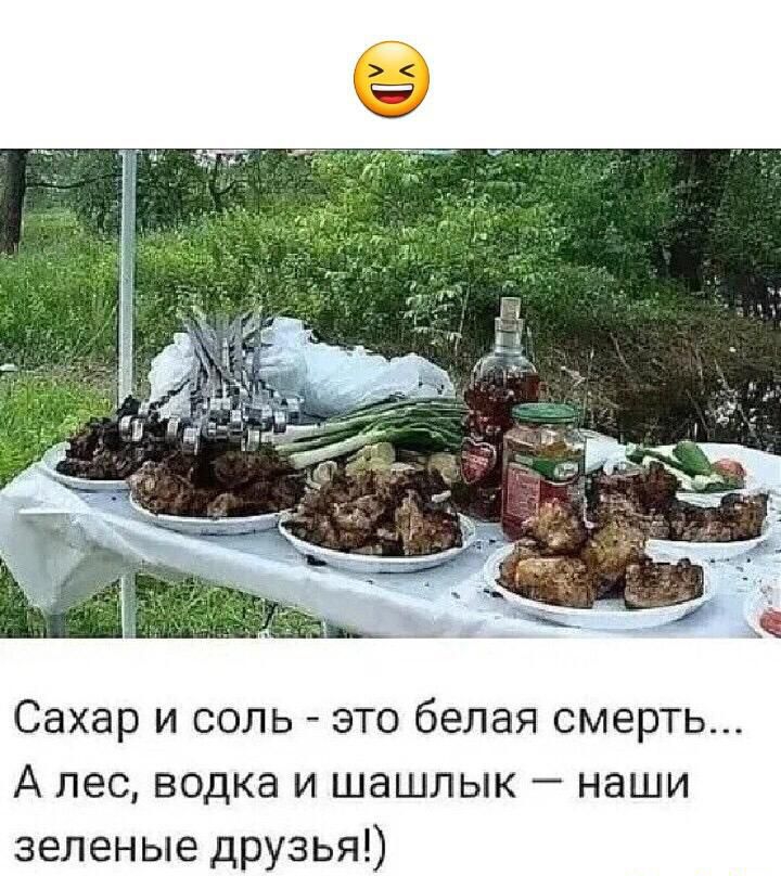 Сахар и соль это белая смерть А пес водка и шашлык наши зеленые друзья