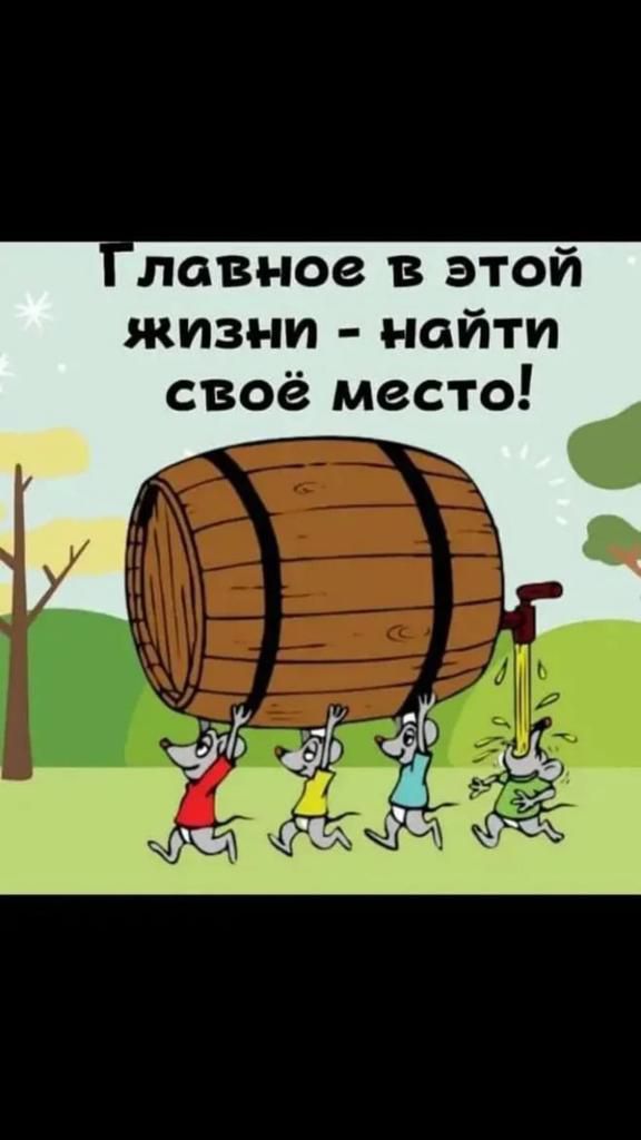 лавное в этой жизни найти своё место