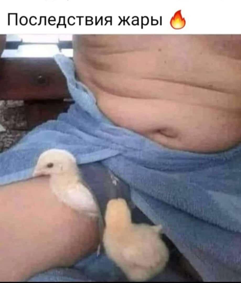 Последствия жары 6