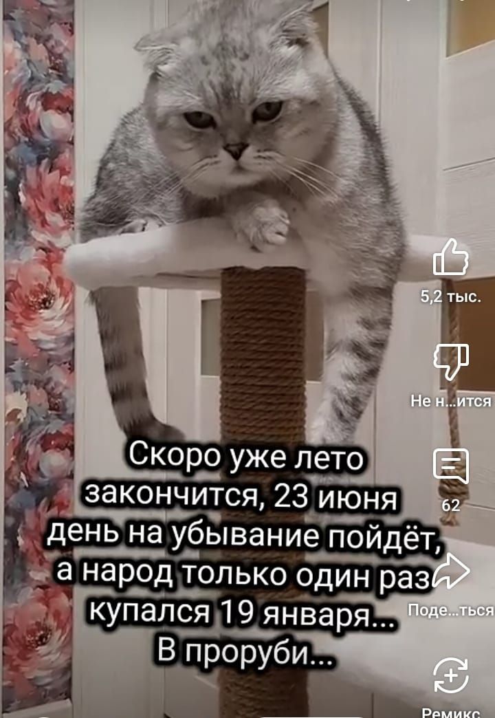 Скоро уже лето закончится, 23 июня день на убивание пойдёт, а народ только один раз купался 19 января... В проруби...