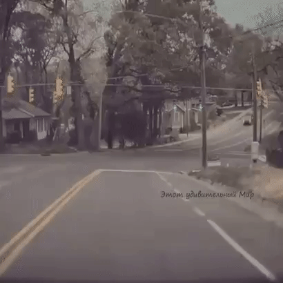 Этот удивительный Мир