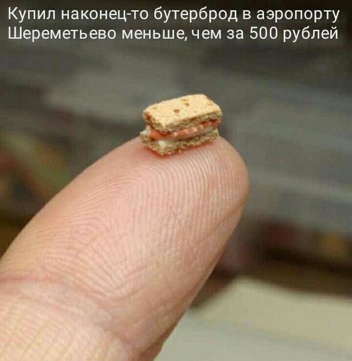 Купил наконец то бутерброд в аэропорту Шереметьево меньше чем за 500 рублей