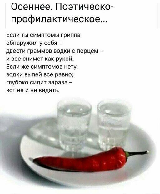 Осеннее Поэтическо профилактическое Если ты симптомы гриппа обнаружил у себя двести граммов водки перцем и все снимет как рукой Если же симптомов нету водки выпей все равно глубоко сидит зараза вот ее и не видать
