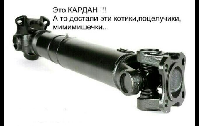 Это КАРДАН А то достали эти котикилоцепучики мимимишвчки