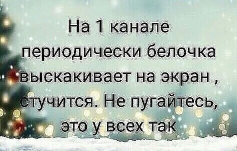 На 1 каналё _ ериодически белочка ыска кивает на экран