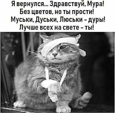 Я вернулся 3дравствуи Мура Без цветов не ты прости Муськидусыи Люськи дУРы Лучше всех на свете ты