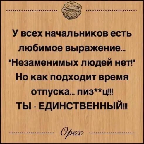 У всех начальников есть любимое выражение Незаменимых людей нет Но как подходит время отпуска пизц ТЫ ЕДИНСТВЕННЫЙ