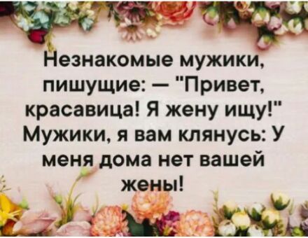 Незнакомые мужики пишущие Привет красавица Я жену ищу Мужики я вам клянусь У меня дома нет вашей жены