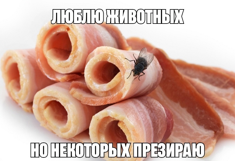 животнык