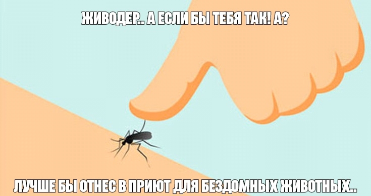 ЁЁШЁЁШБШТ іБШШЪ Ві ЁЁШТШШШ ШШШ