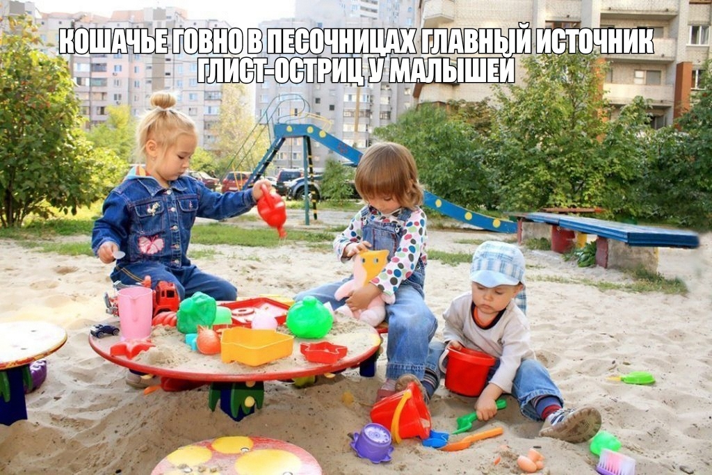 Пища П 31 а Ні
