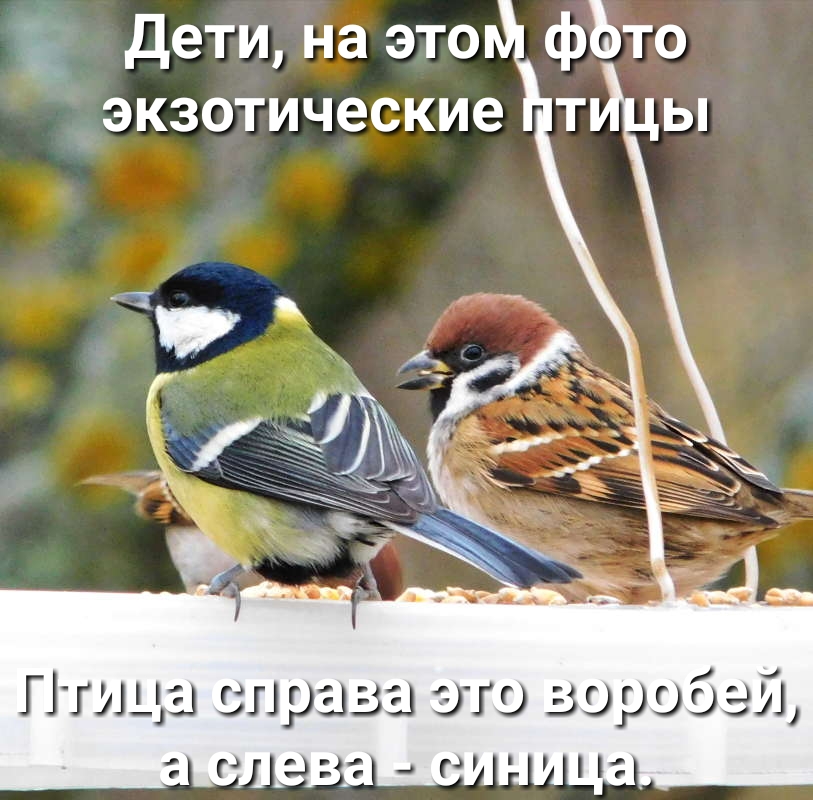 5 Дети на это фЬто зэкзотические т