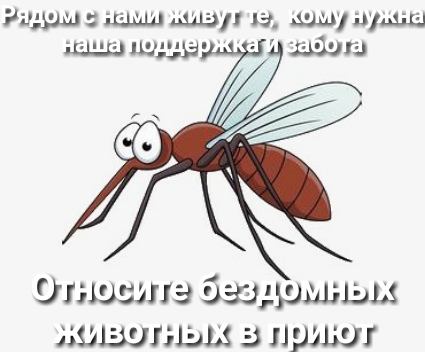 шыш ш 71 за шпуыущш іЕ СЦЕ ПЭ Огэшсшэ базшшьш шышэщщ з ишщл