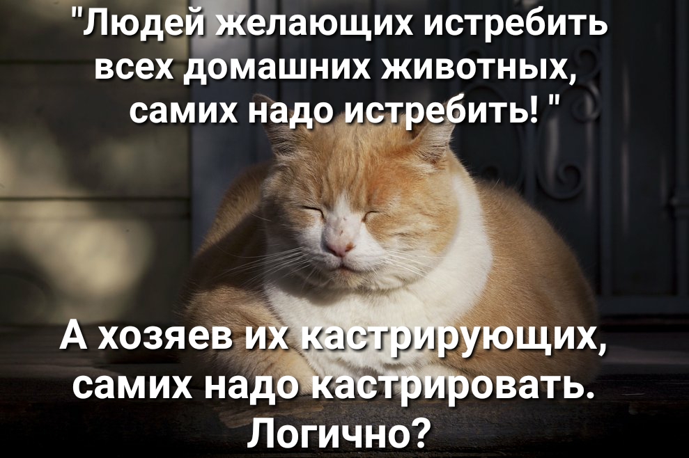 ЛюдедіШелающих истребить всех домашних животных Логично