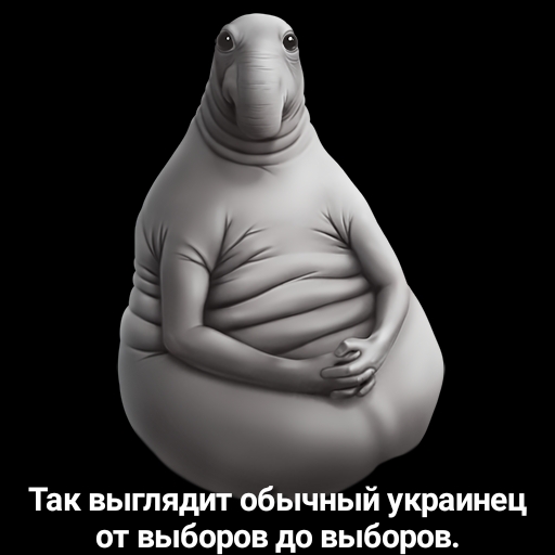 Так выглядит обычный украинец ат выборов до выборов