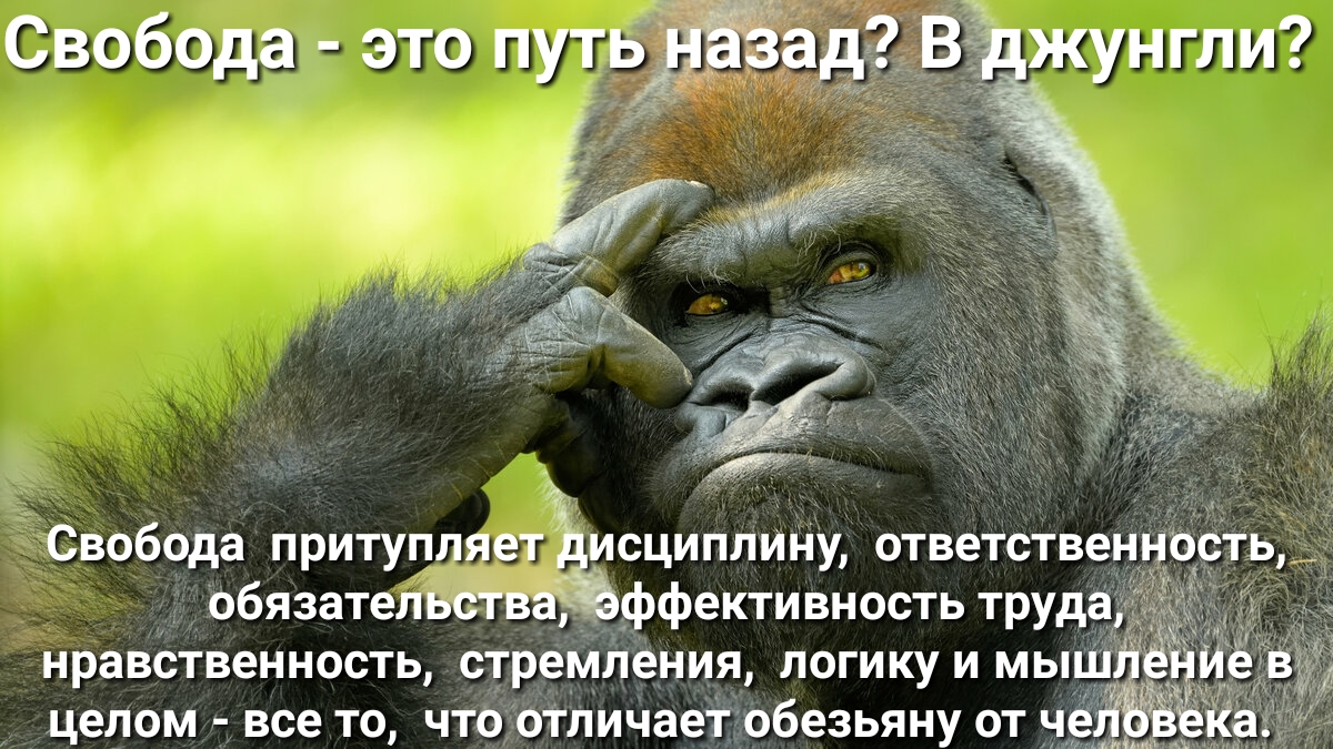 Свобода это пупёавг 5_ жунгпи Чёт Свобода притупдяег сциппину мамашек ить обязатеп ФФекгивность груда иравшвеинасть стремйения логику и мь целвм все то что тпичаегобезьяну от и