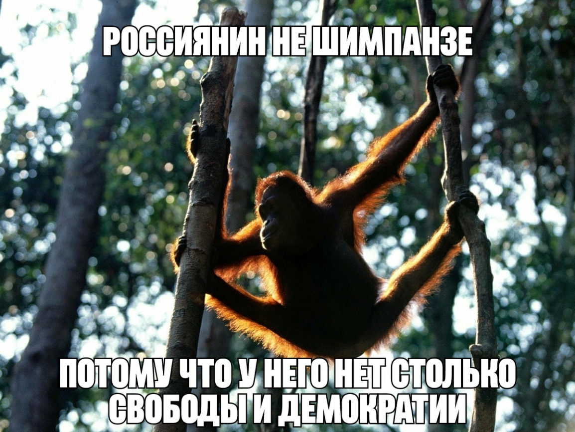 _ В с ф ШГБ 59 1 за