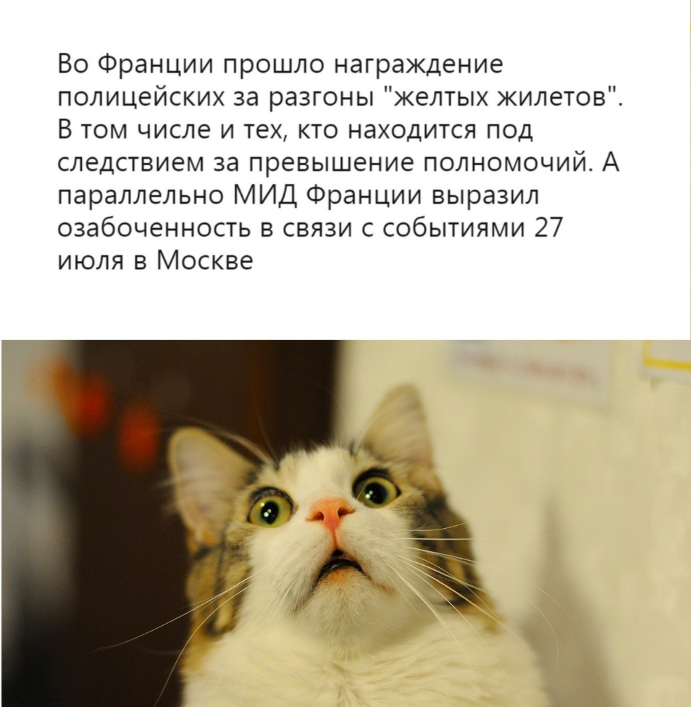 Во Франции прошло награждение полицейских за разгоны желтых жилетов В ТОМ ЧИСЛЭ И тех КТО НЭХОДИТСЯ ПОД СЛеДСТВИЕМ за превышение ПОЛНОМОЧИЙ А параллельно МИД Франции выразил озабоченность в связи с событиями 27 июля в Москве