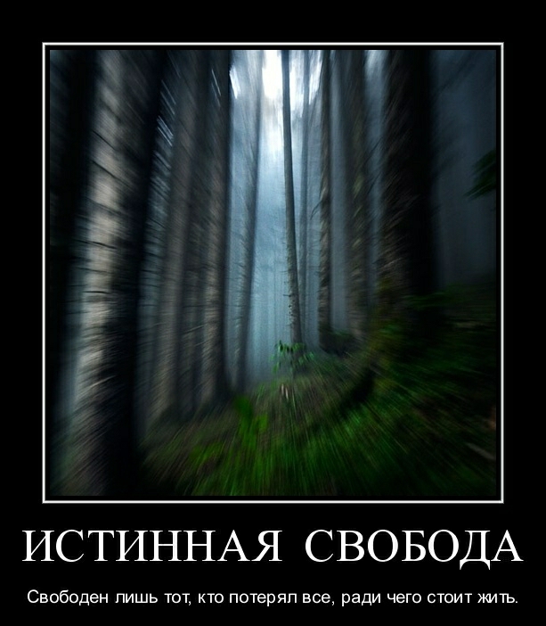 ИС ТИННАЯ СВОБОДА Свободен лишь тот кто потерял все ради чего стоит жить