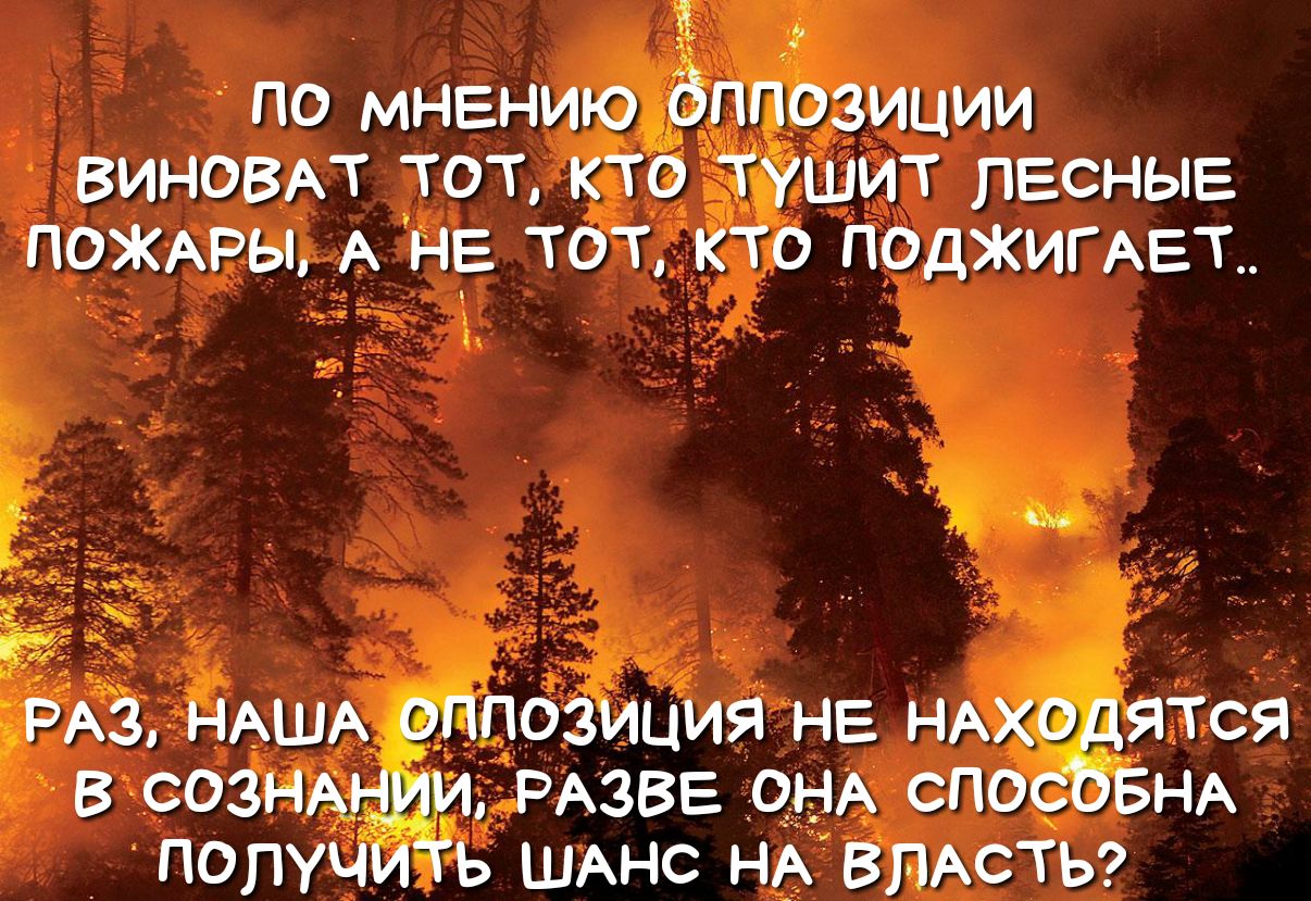 ВИНОВАТ ТТ шит лесные получ ьшхнс НА ЁпАСТЬ