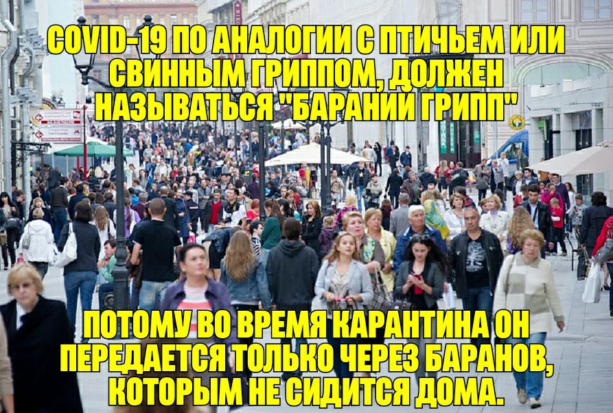 Ё 53 М