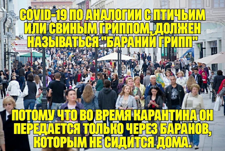 нотами ЧЩ во піішдітвят 08