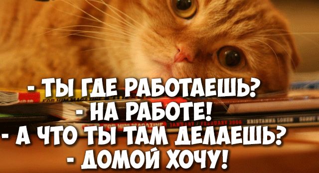 чТ Ы ГДЕ РА ОТАЕШЬ 3 НА РАБОТЕ А ЧТО ТЫ ТАМ АЕААЕШЬ АОМОЙ ХОЧУ