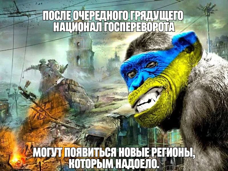 _ у дояііитьея новы и ммддо