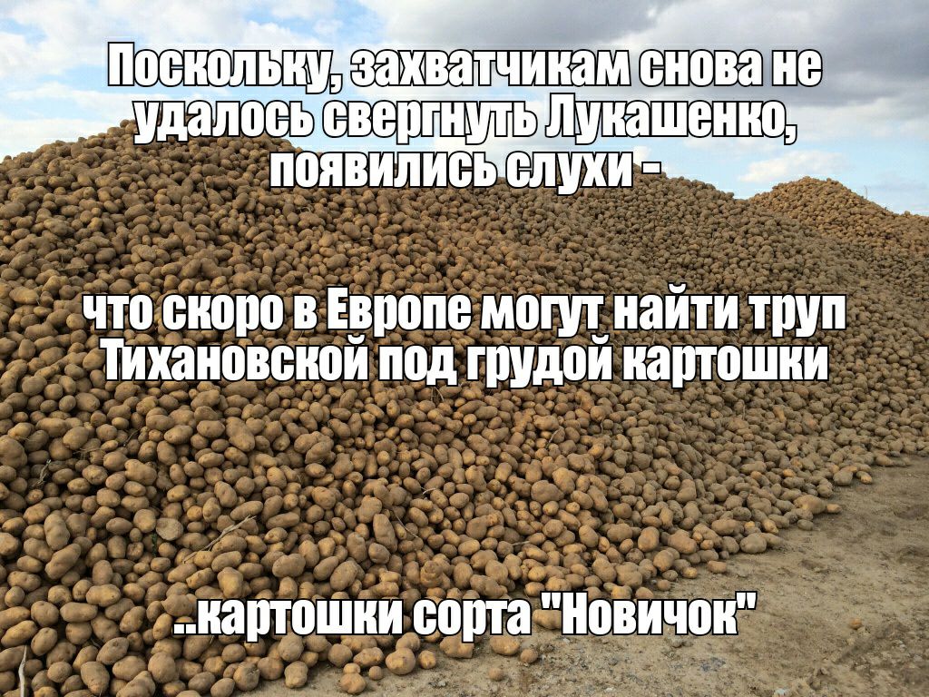 Удалооь что скоро в Европе мопп найти труп Тихоновоной под грудой картошки иартошни сорта ЁНовичоК